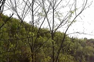 MISTERIJA KURVINGRADA: Evo kako je SRPSKI GRAD dobio ime!