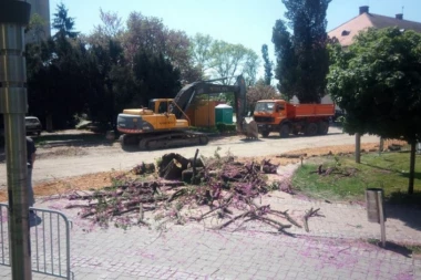 MITROVČANI PETICIJOM BRANE PARK!