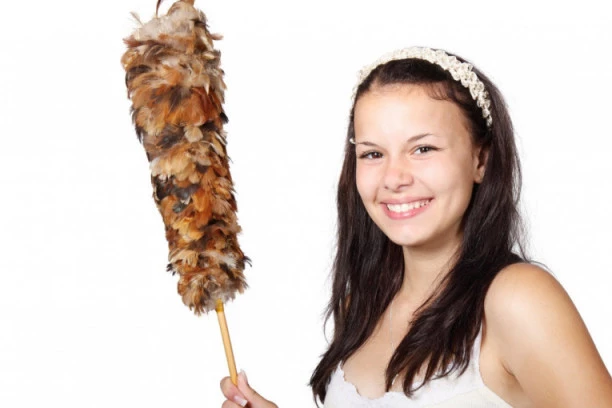 Saveti za uredan dom: Izbegnite najčešće greške pri brisanju prašine!