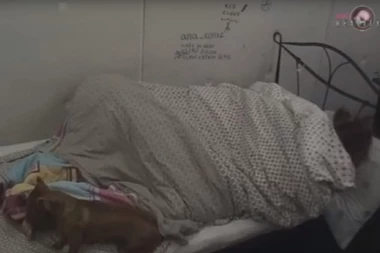 SVE VREME IH GLEDALA: Nadežda i Miki ponovo imali S*KS, a sad imali i PUBLIKU!