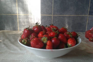 Kada čujete šta sve leče, nikada više nećete baciti PETELJKE OD JAGODA!