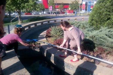 BRAVO: Spasili patku i pačiće iz fontane kod Hajata i odneli na Savu!