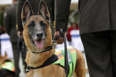 Kolumbijska policija poslala u penziju službene pse