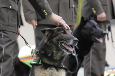 Psi tragači nanjušili leš nestale žene u Grliškom jezeru