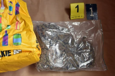 NEGOTIN: Kod devojke (23) policija našla dva paketića marihuane