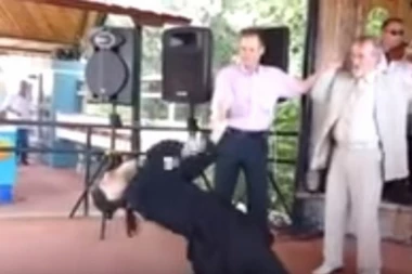 (VIDEO) POLUDELI POP: Toliko se razigrao, da su ga ljudi gledali u čudu