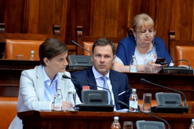 SINIŠA MALI ODBRUSIO RADULOVIĆU: Dok si bio ministar, nije bilo investicija