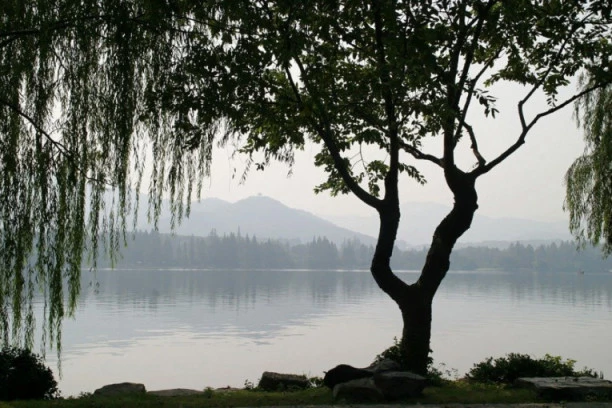 Jezero u srcu Kopaonika krije jezivu legendu, nastalo je na UŽASAN način