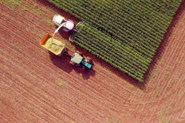 Novac na računu i bez prijave: Država isplatila 410 miliona povrtarskim gazdinstvima, uskoro pomoć i NJIMA!