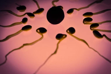 MOGUĆE I KOD NAS! BANKA SPERME USKORO U SRBIJI