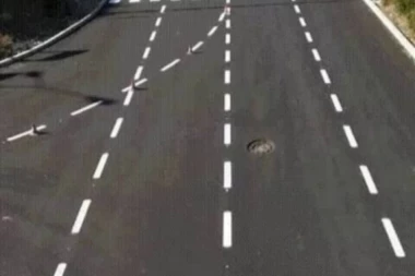 (FOTO) Otkrivamo gde je postavljen prvi PEŠAČKI PRELAZ U SRBIJI ZA KOZE!