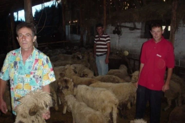 Užas kod Bele Palanke: FARMERU OTROVALI 12 PASA ČUVARA!