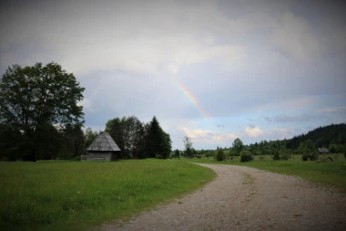 (FOTO) Pitoma divljakuša koja očara i oplemeni život