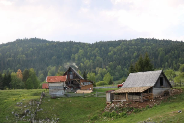 VRLO DOBRA OCENA DOMAĆIH TURISTA: Srpske planine bile glavna ATRAKCIJA ovog leta!