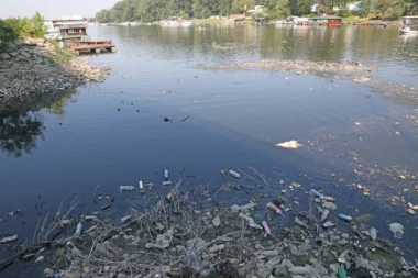 ŠOK! Tamiš na obalu naneo leševe životinja! Tone otpada rekom stigle iz Rumunije