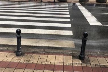 PAPARACO: Piksi šeta Beogradom