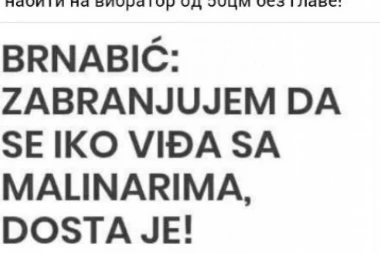 STRAŠNO: ANI BRNABIĆ PRETE ZBOG MALINARA!