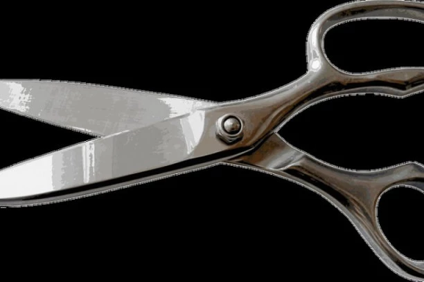 HOROR U BAČKOJ PALANCI: Žena ubola makazama u leđa muža!