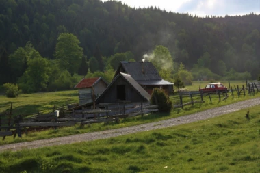 STRAVA I UŽAS U NACIONALNOM PARKU TARA: U potoku pronađeno beživotno telo muškarca (30)