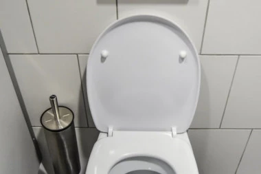 JEFTINO, A DELOTVORNO: Sjajan trik za čišćenje wc šolje!
