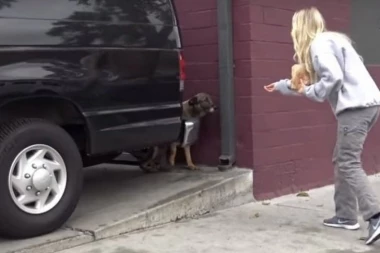 (VIDEO) DA SRCE PUKNE: Spasili kuju, a njen PLAČ ih je raspametio