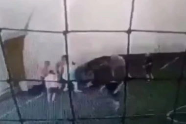 (VIDEO) HUMANITARNI TURNIR POSTAO HOROR: Navijači Vojvodine motkama prebili vođu "delija"