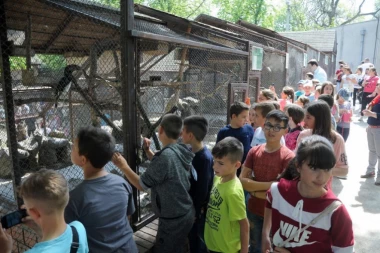 NA RADOST MALIŠANA: Beo ZOO vrt uskoro bogatiji za još životinja