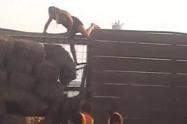 NADEŽDA PRESKOČILA OGRADU I POBEGLA IZ ZADRUGE!