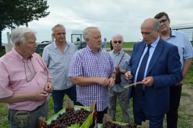 Priboj iz budžeta plaća sve za jednu zadrugu!