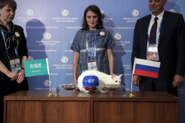 Mačak Ahil: Rusija pobeđuje Saudijsku Arabiju