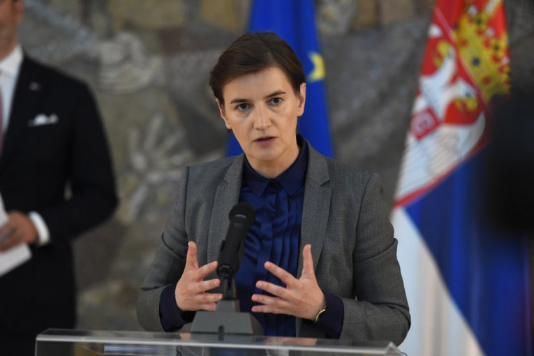 BRNABIĆ: Vlada će čuvati "leđa" Vučiću u dijalogu