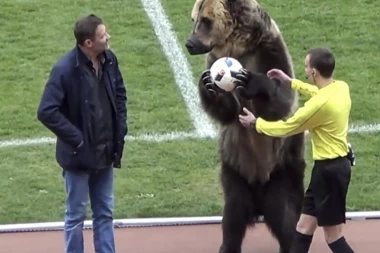 (VIDEO) Pravi ruski duh: MEDVED SLAVIO POBEDU DOMAĆINA U MOSKVI!