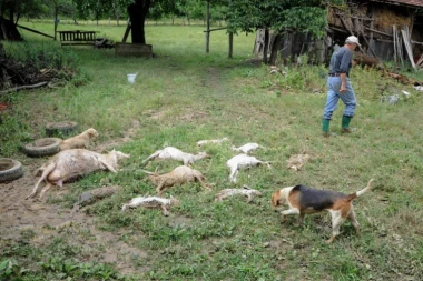 POSLE POPLAVA, SADA PRETE I ZARAZE! U Aleksincu ne znaju kada će dobiti pijaću vodu, ne mogu ni da se okupaju!