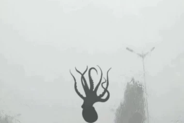 (VIDEO) OVO NIJE REALNO: Posle oluje, s neba padale MORSKE ZVEZDE I HOBOTNICE!