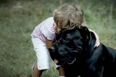 (VIDEO) POGLEDAJTE FILM O DRESURI PASA