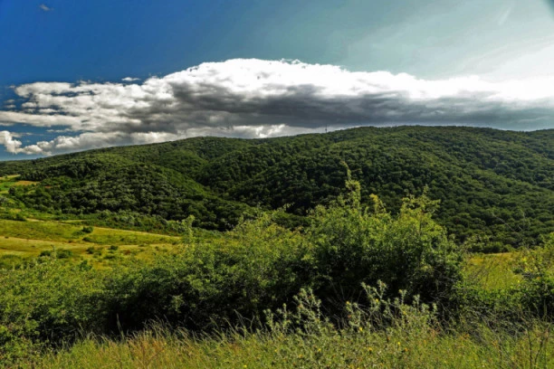 Fruška gora ostaje otvorena za ljubitelje prirode kao i do sada