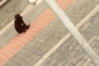 (FOTO) Zašto je na internetu OVA SLIKA proglašena NAJTUŽNIJOM?