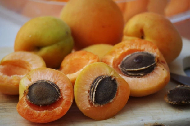 KAJSIJE SU PRAVA VITAMINSKA BOMBA! Odlične za srce, kosti, koži i pomažu mršavlejnju