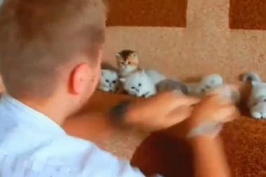 (VIDEO) OVE MACE ĆE VAS ODUŠEVITI!