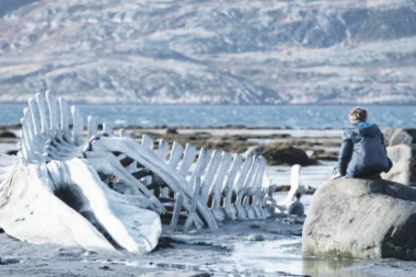 UOČI PALIĆA, POGLEDAJTE I OVA OSTVARENJA!