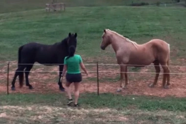 (VIDEO) ĐAVO! Namerno nije rekao devojci da je ograda električna, pa se smejao dok ju je PRŽILA STRUJA!