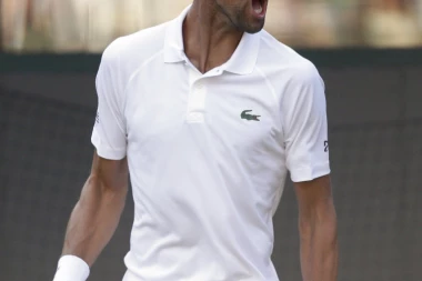 JELENA ISTETOVIRALA NOVAKOV PORTRET NA RUCI!