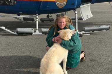 ANĐEO ČUVAR: Ovaj HASKI sam šeta po ski stazi i SPASAVA LJUDE!