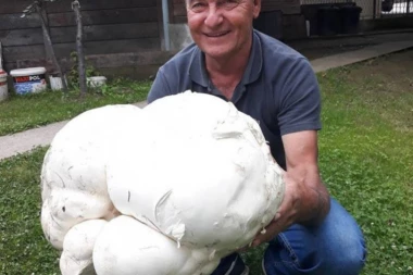 Čovek šetao Tarom, pa odjednom stao i ZANEMEO - nije mogao da veruje svojim očima ŠTA JE NAŠAO!