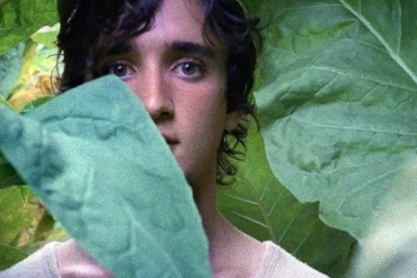 PALIĆ SLAVI 25 GODINA POSTOJANJA Jubilej uz Šerbedžiju, Koksa, Dravićevu...