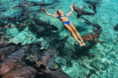 (VIDEO) UŽAS! Voditeljka pozirala pa je napala ova MORSKA NEMAN!