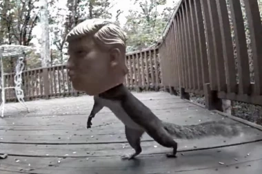 (VIDEO) VEVERICA SE MASKIRALA U DONALDA TRAMPA!