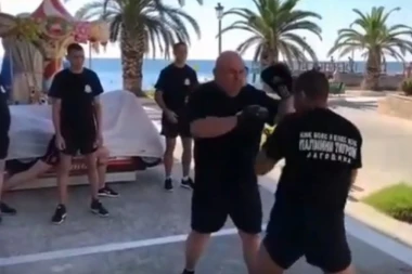 (VIDEO) NEMA PREDAHA: Palma trenira svoje tigorve i na odmoru