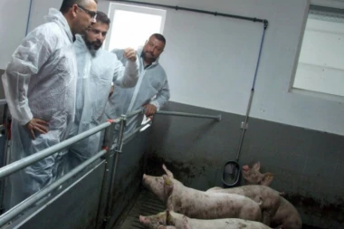 Ministar Nedimović u Zasavici otvorio NAJMODERNIJU farmu svinja u regionu