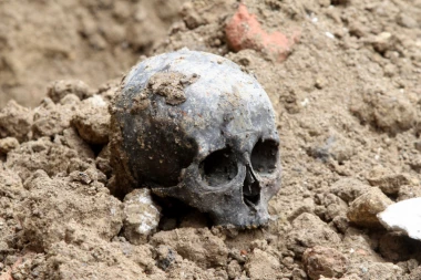 Horor u Negotinu! Pas u čeljuštima nosio LJUDSKU lobanju, potraga za ostatkom leša, sumnja se da je NJEGOV